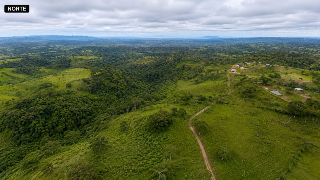 PRODUCTIVE FARM FOR SALE IN SANTA CECILIA