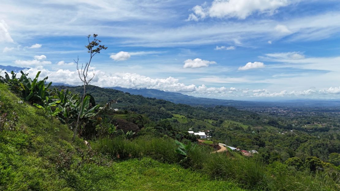 Villas San Miguel – Nature