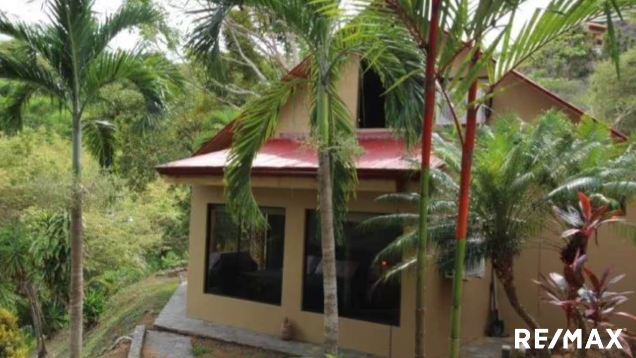 Secluded Jungle Retreat