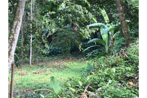 Large Parcel right in the middle of Herradura