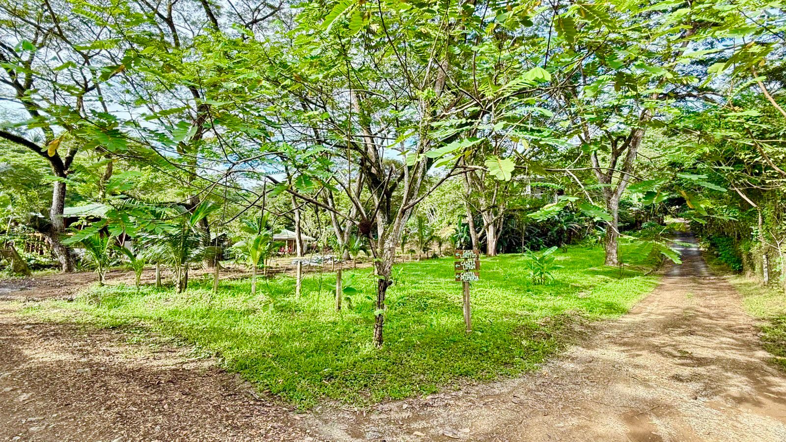 Jungle Haven Lot in Jaco