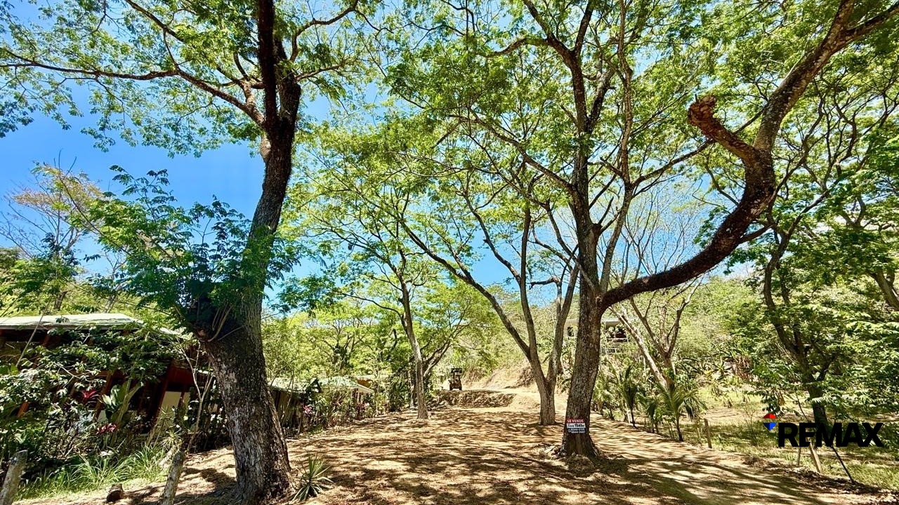 Large Ready-to-Build Lot in Jaco