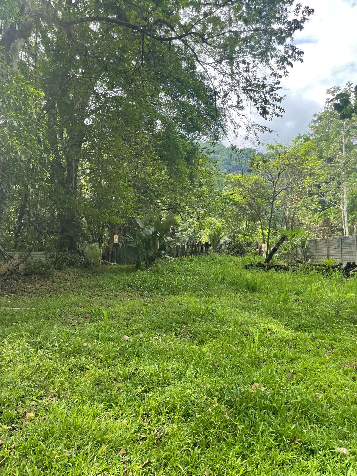 Lot for Sale – Only 7 Minutes from Jacó!