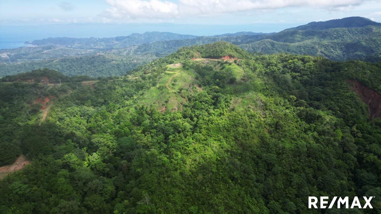 Large Oceanview Land