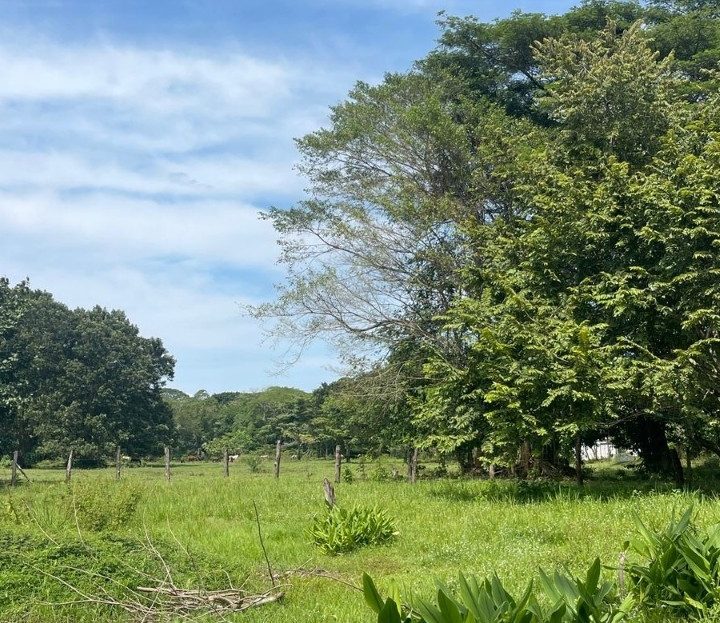 Garabito Central Pacific Costa Rica>Quebrada Ganado>Agujas For Sale 101500 | RE/MAX Costa Rica Real Estate