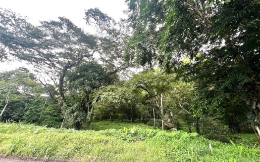 Garabito Central Pacific Costa Rica>Quebrada Ganado>Punta Leona For Sale 83382 | RE/MAX Costa Rica Real Estate