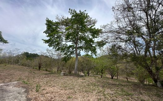Central Pacific Costa Rica Property for Sale Near the Estuary – Perfect for Airbnb or Vacation Home