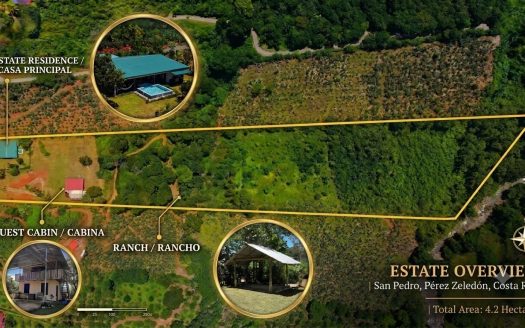 4.2 Hectare Farm in San Pedro de Perez Zeledon with Spring and River