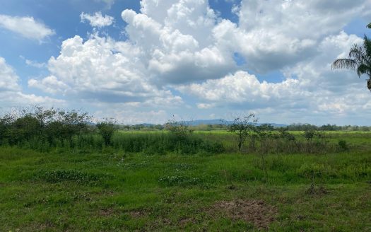 Agricultural Farm for Sale in Guaycara, Golfito (Price Drop: $10,000 off)