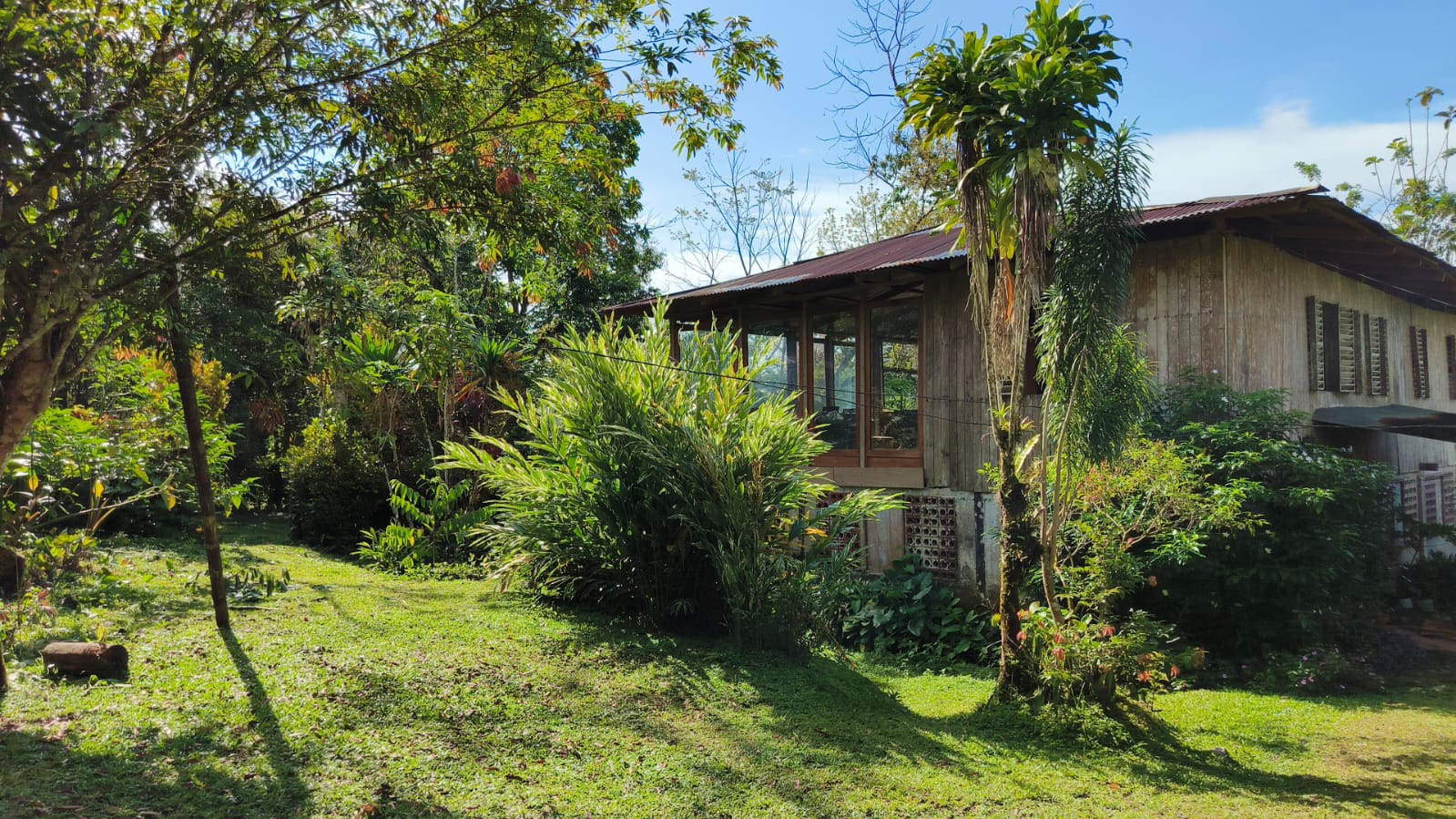Farm for Sale in Llano Bonito, Golfito Puntarenas | 165 Hectares (Approx.) Near Río Claro