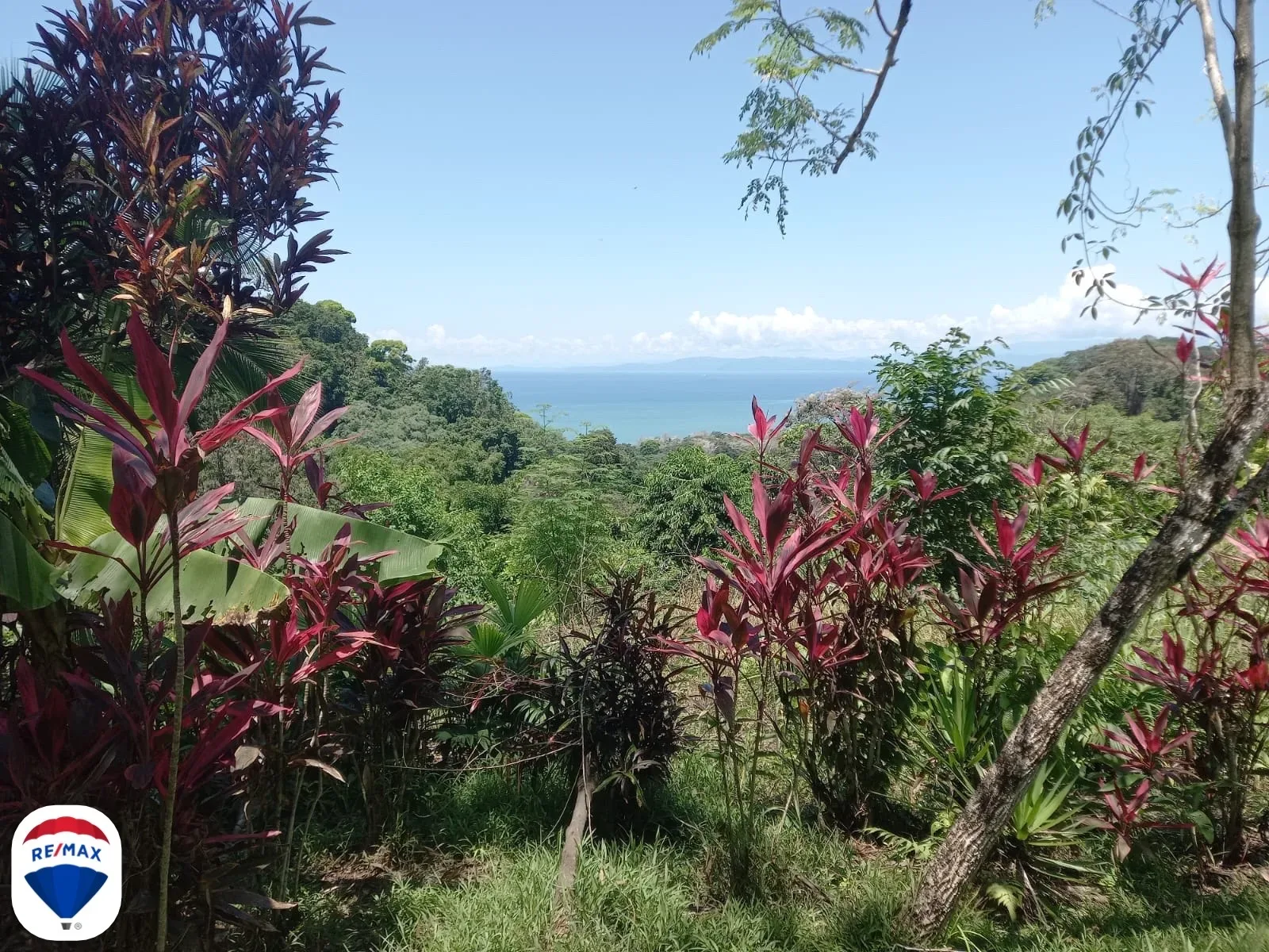 Rio Claro Ocean View Finca