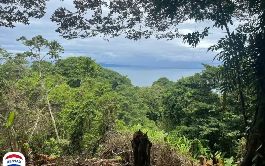 1 Hectare (2.5 Acre) Ocean View Lot Directly above Pavones