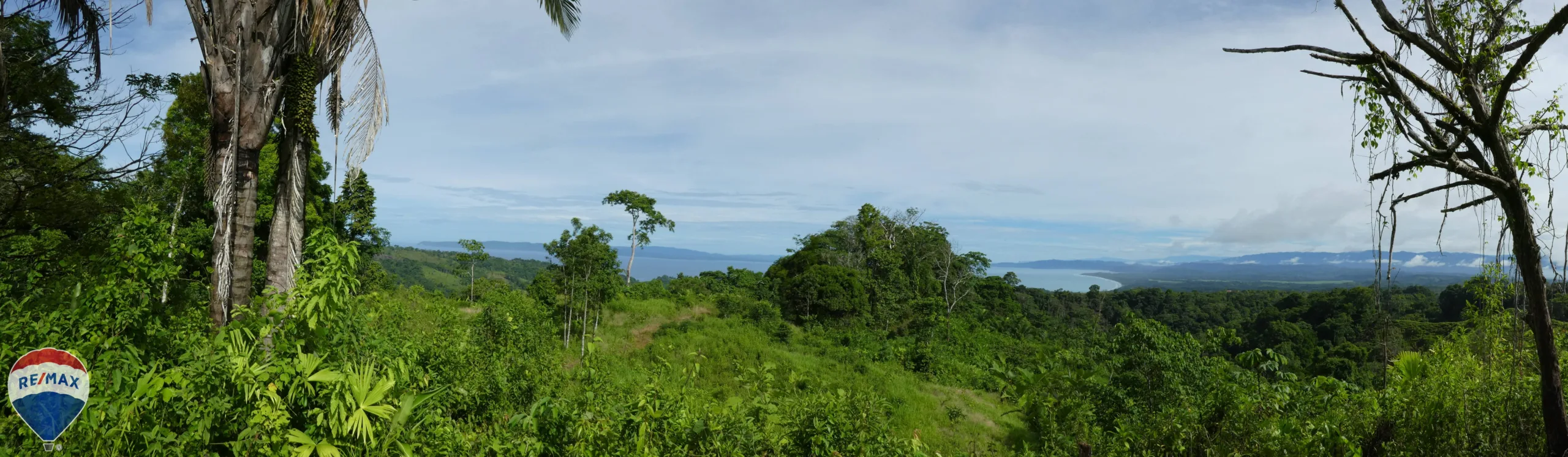 Finca With 360 Golfo Dulce View