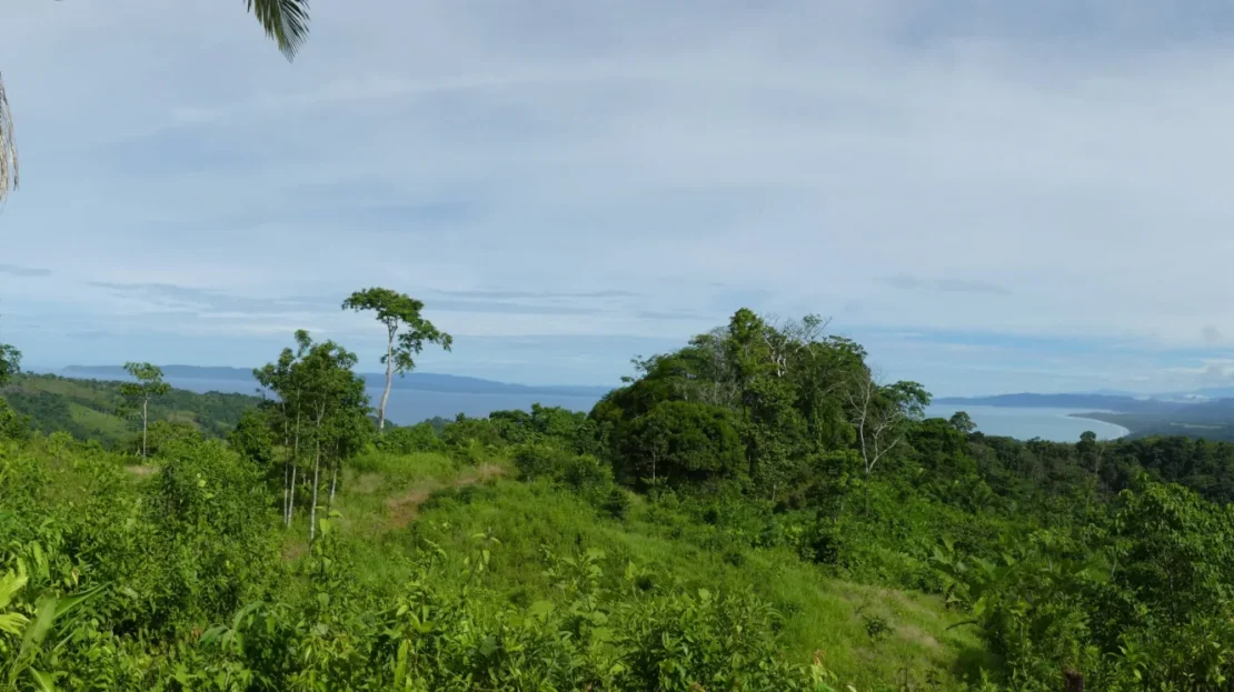 Golfito>Pavones Real Estate Listings 23661