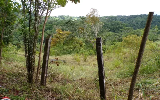 Pavones Jungle estate & development opportunity near world-class surf.