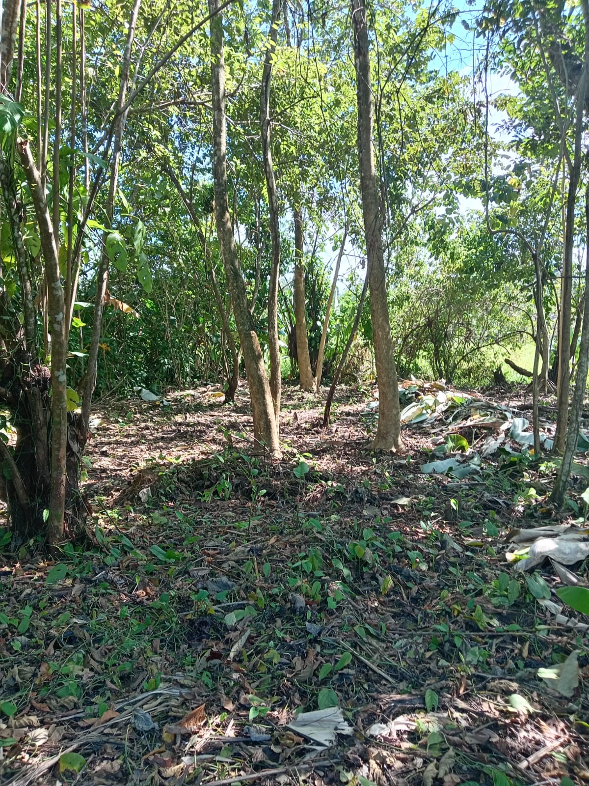 #3 Lot in the Coastal Zone, Steps Away from the Future Airport