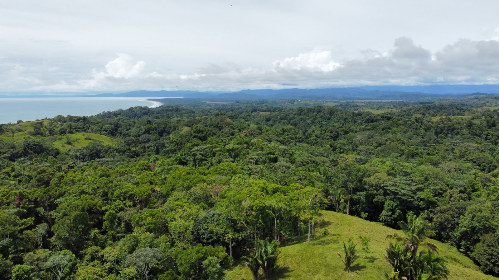 Large Oceanview Ranch for Sale in Pavones, Costa Rica – 5 minutes to Pilon Surf