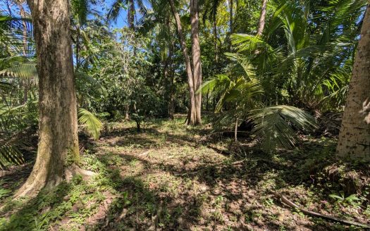 Oceanfront Maritime Lot for Sale in Pavones, Costa Rica – Steps to the Beach