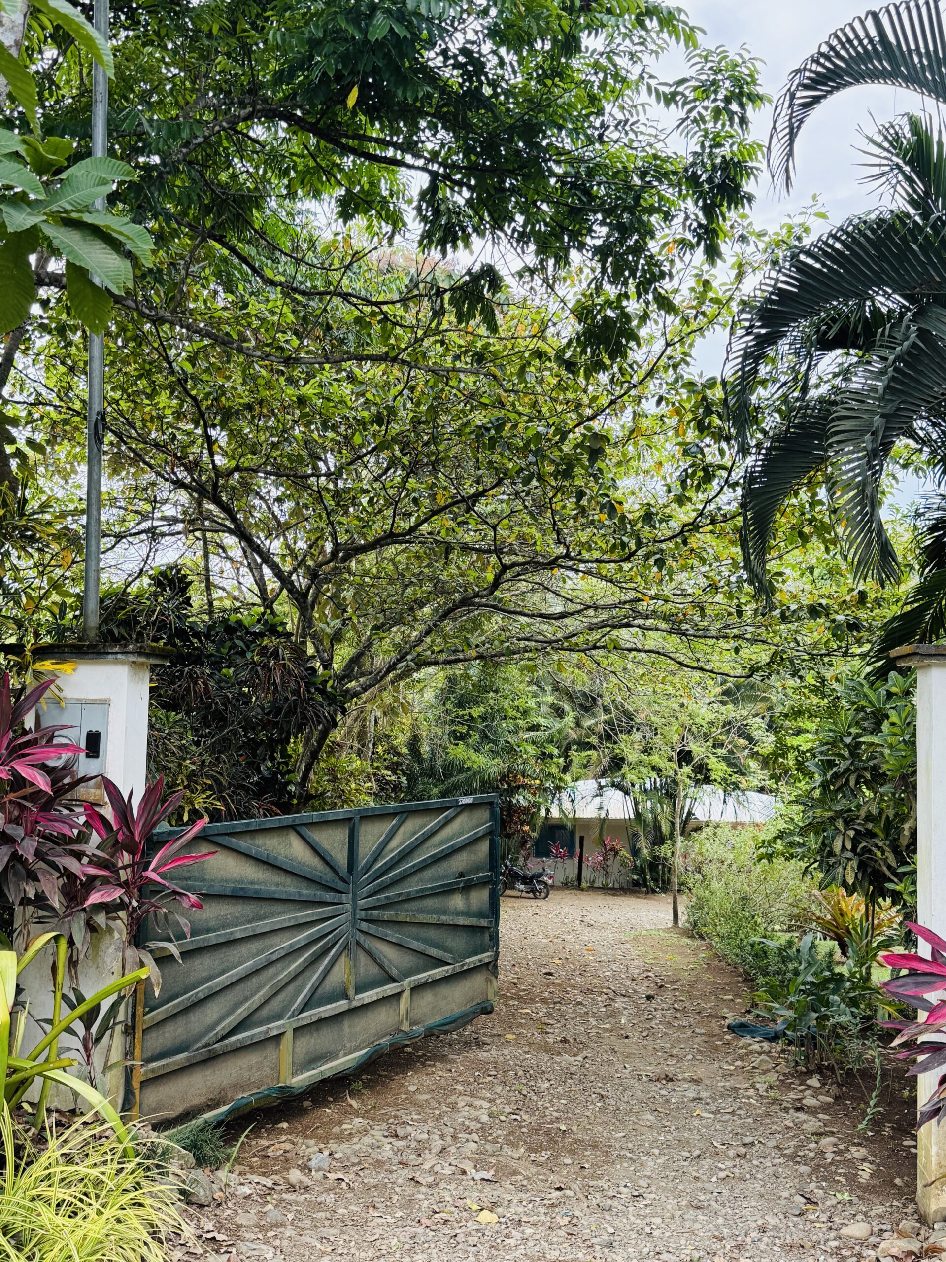 Home and property with the ultimate location steps away from the "Rio Claro" river and "the Point" surf spot
