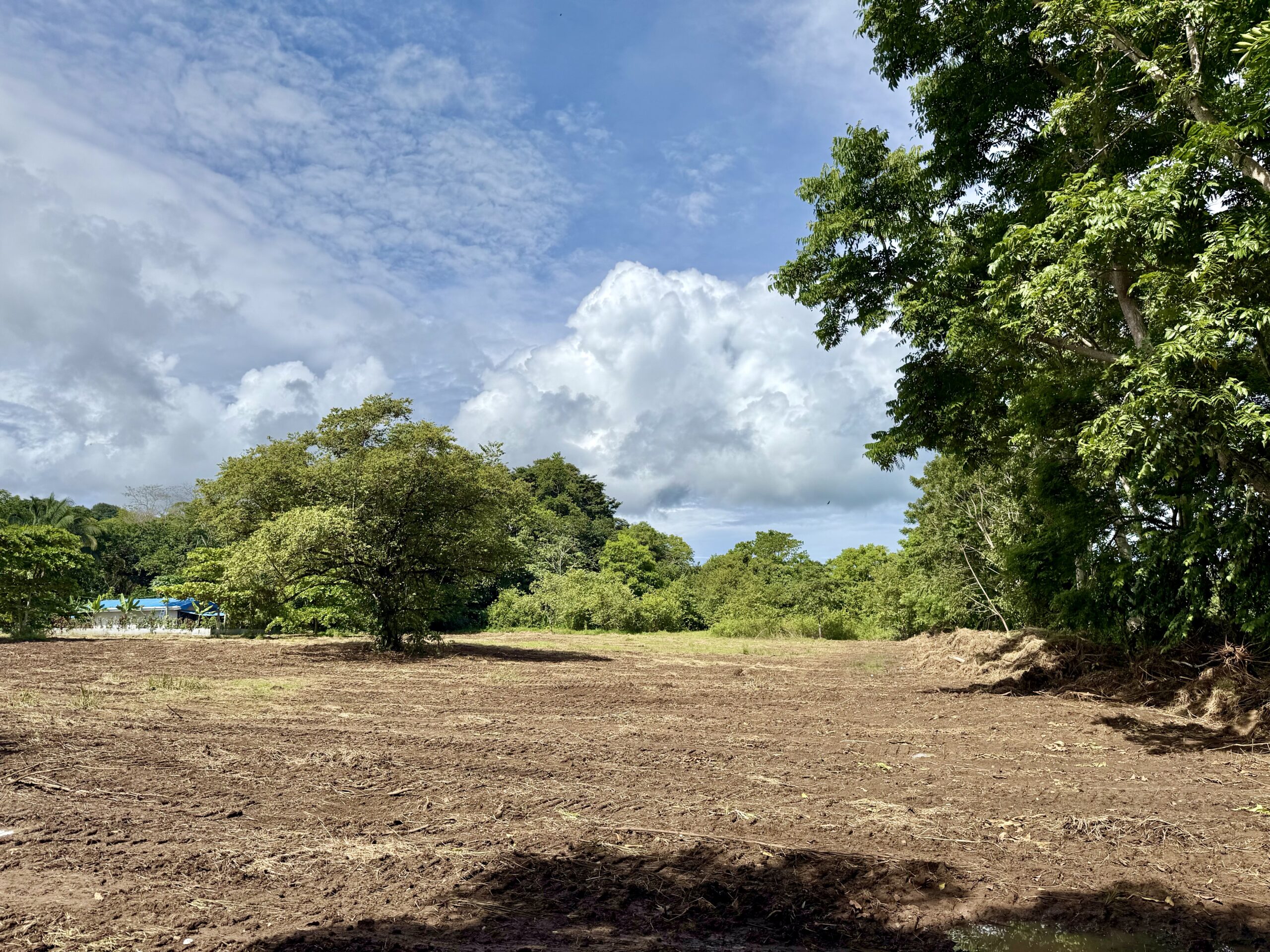 Prime 5,002 m² Lot with Commercial Potential in Pavones – Walk to Surf &amp; Services