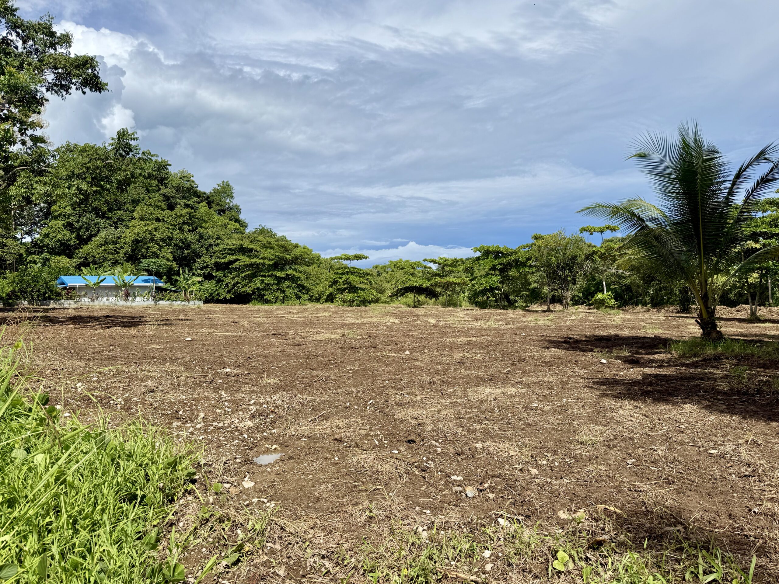 Titled 1,000 m² Lot for Sale in Pavones, Costa Rica – Prime Surfside Location