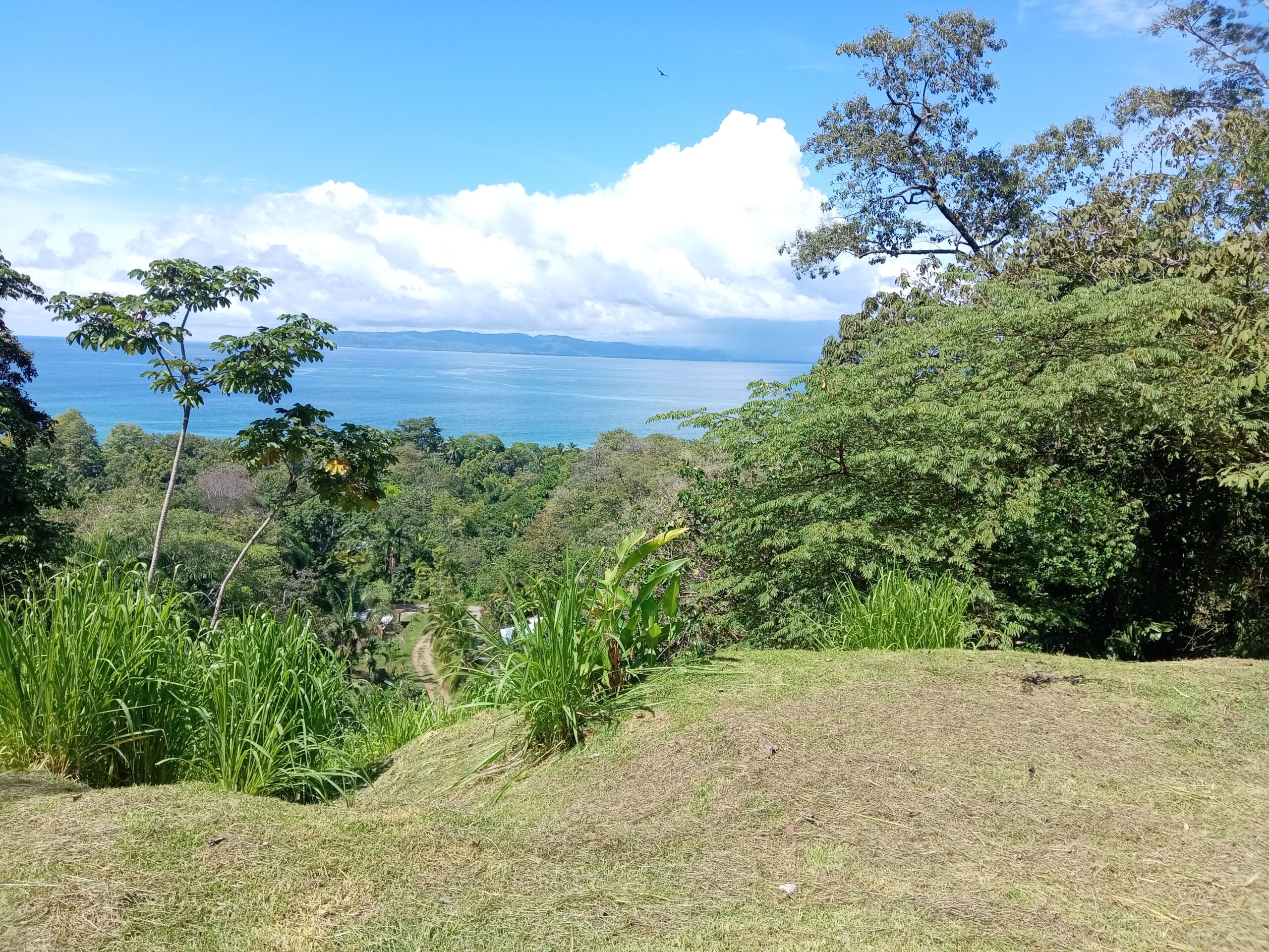 La Piña – Best Ocean View, 5 Minutes from Pavones Wave