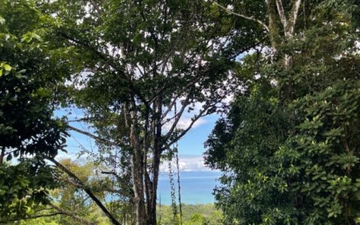 Pavones Jungle Ocean View | 3.8 Acres Near World-Class Surf