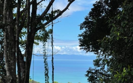 Golfito>Pavones Real Estate Listings 32036