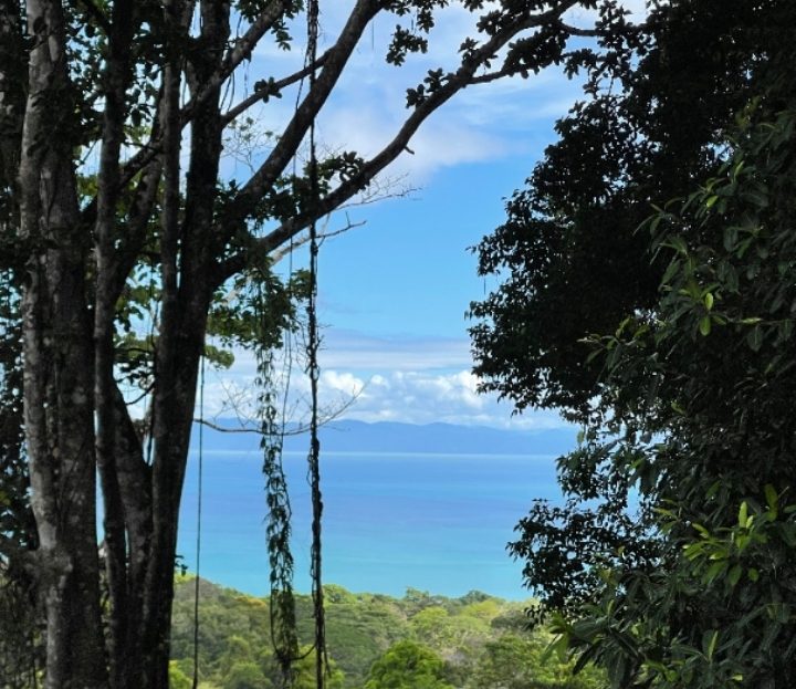 Golfito>Pavones Real Estate Listings 32036