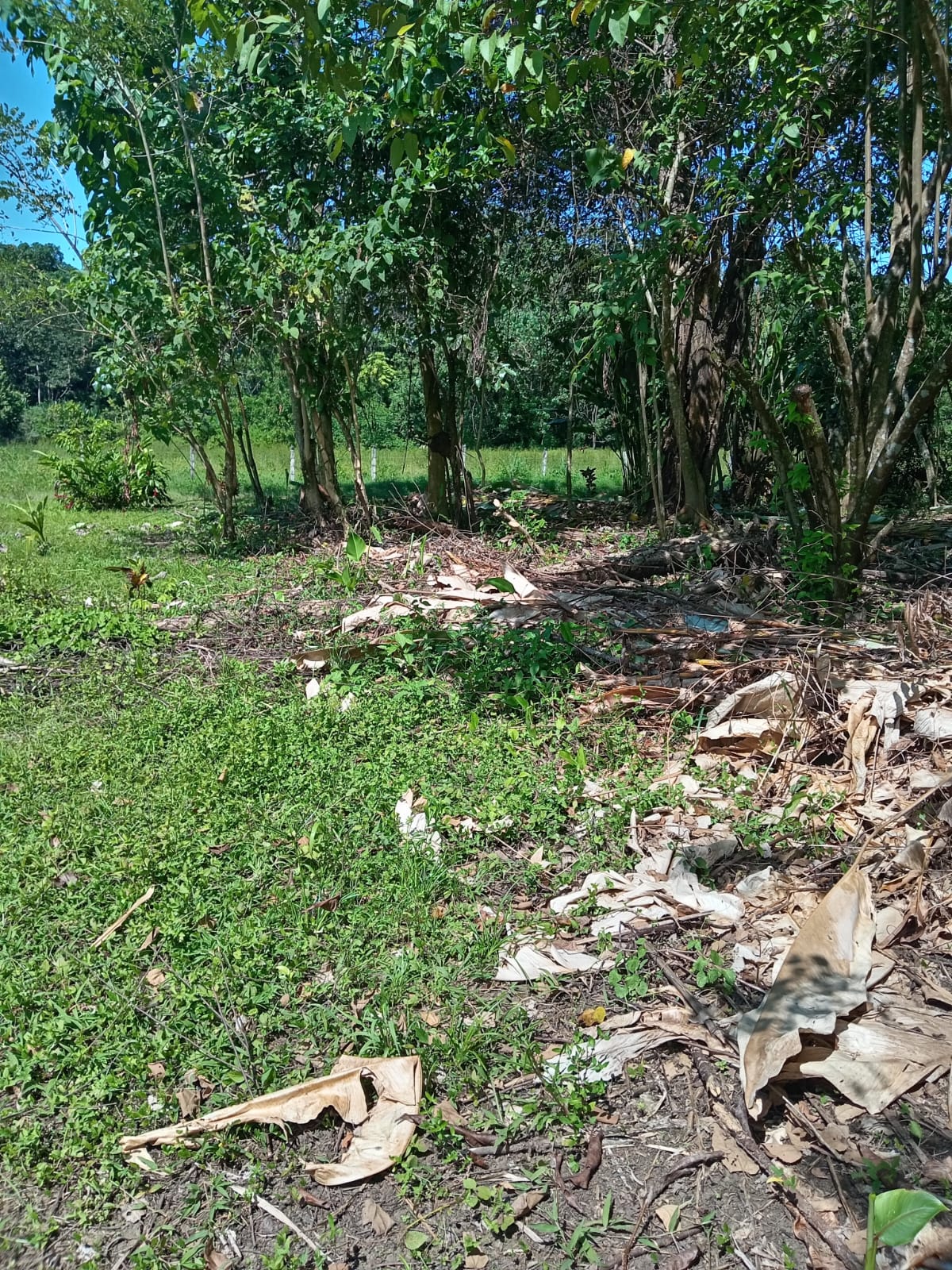 #2 Lot in the Coastal Zone, Steps Away from the Future Airport