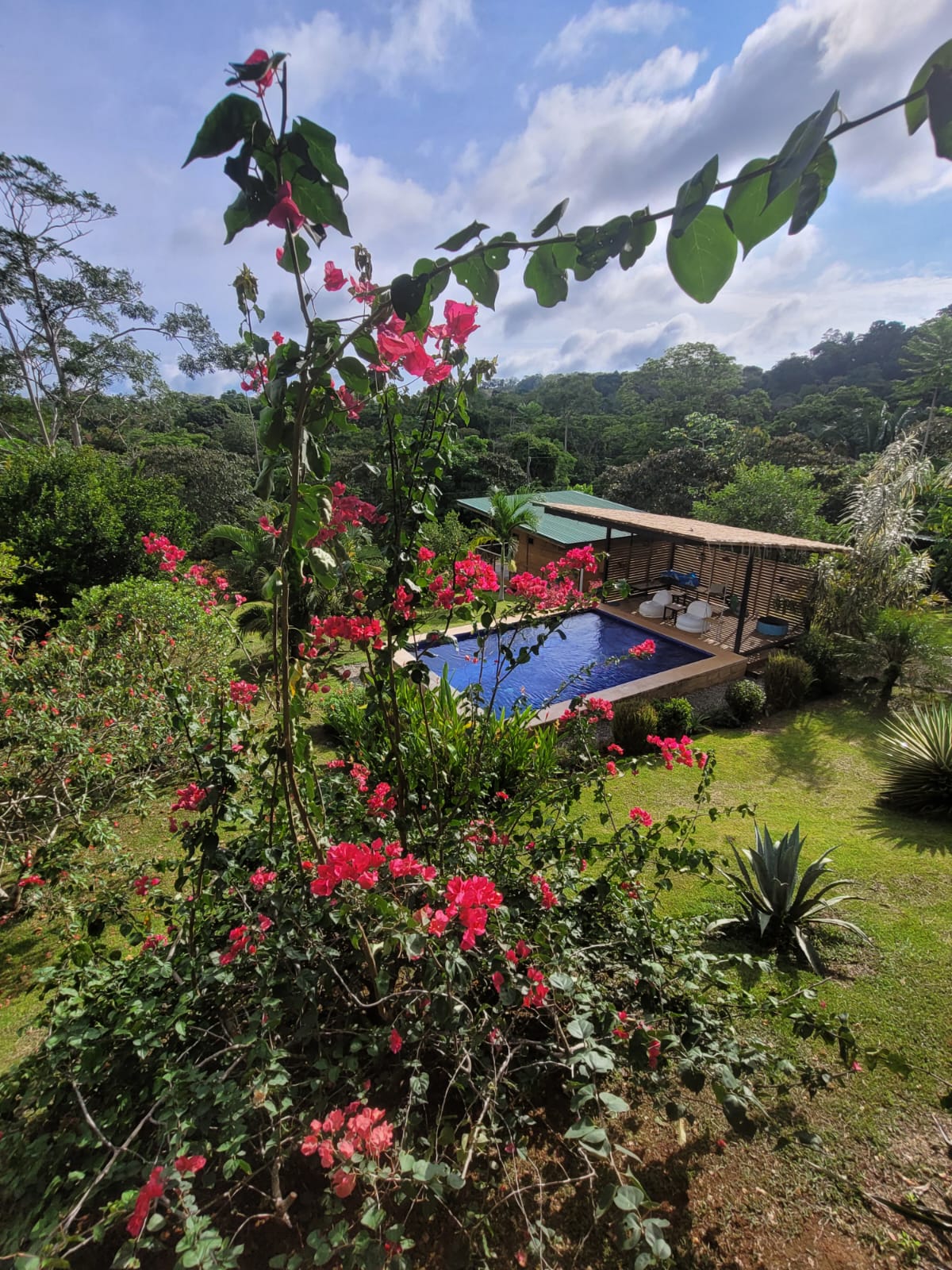 Move-In Ready Pool Home with Excellent Views