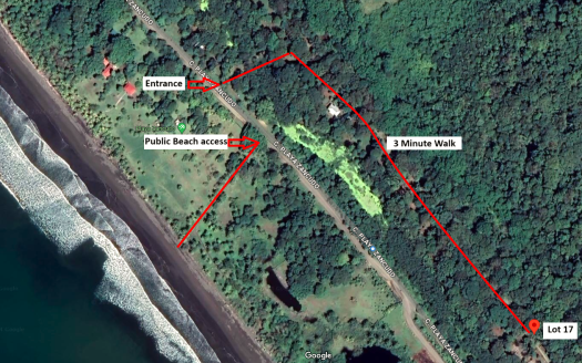 Titled Property for Sale in Zancudo Costa Rica | Move-in Ready Elevated Jungle Home on 1.2 Acres