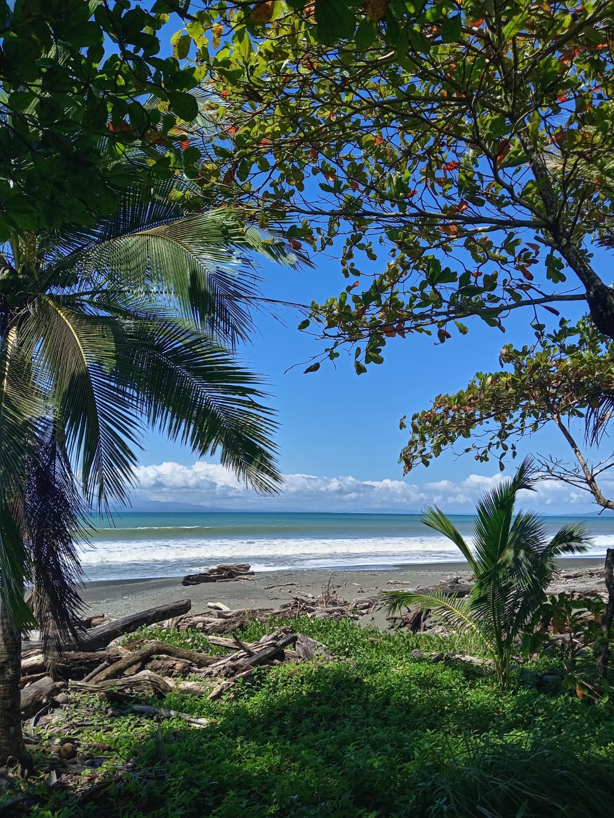 #1 Lot in the Coastal Zone, Steps Away from the Future Airport
