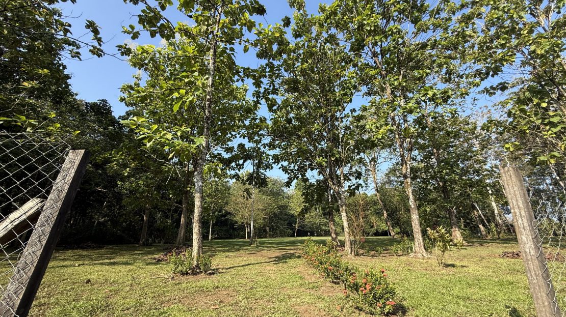 Golfito>Rio Claro de Pavones Real Estate Listings 27912