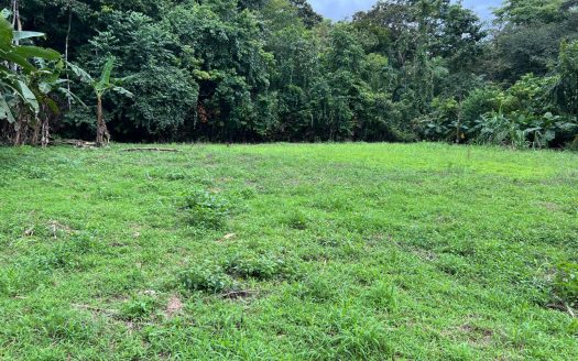 Beachside Opportunity: Prime Land for Sale Near La Piña Beach with Endless Building Potential (Option to Subdivide)