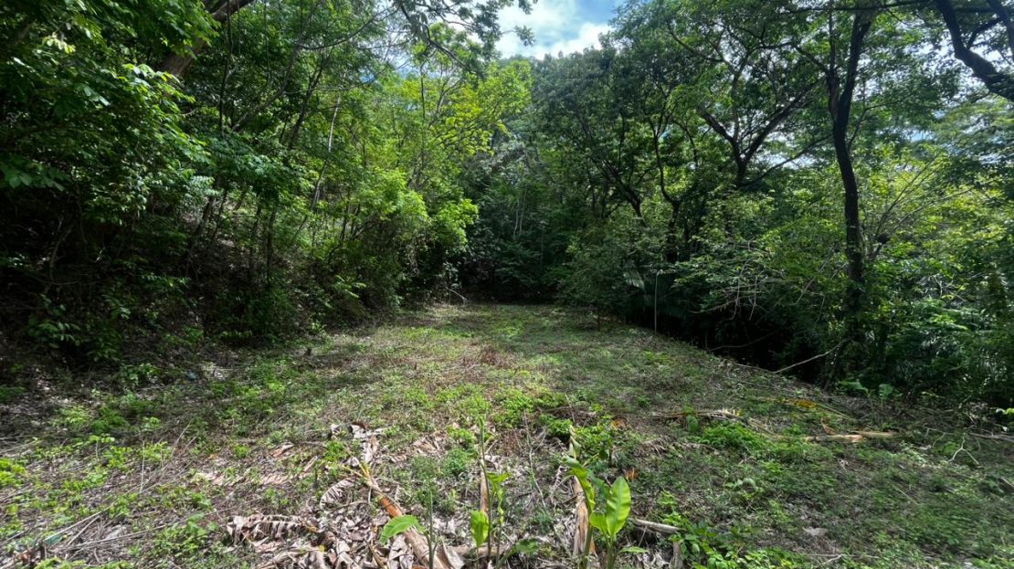 Green Haven Lot Guanacaste | REMAX