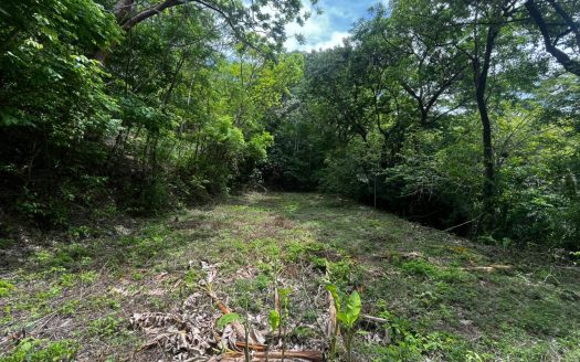 Green Haven Lot Guanacaste | REMAX