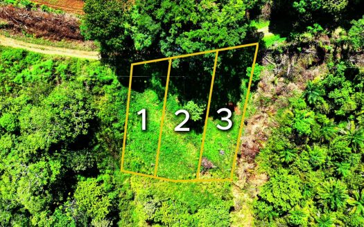 258 m² Lot for Sale in Tres Rios, Perez Zeledon – Stunning Views, Perfect for Airbnb or Cabin
