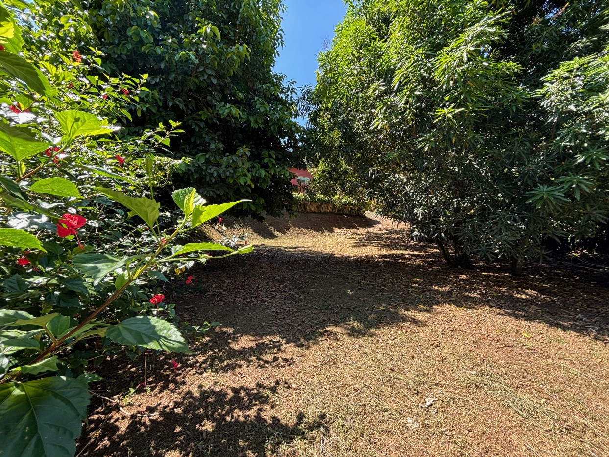 Very private and safe lot 3 minutes from Atenas Center - Barrio Jesus, Atenas, Alajuela