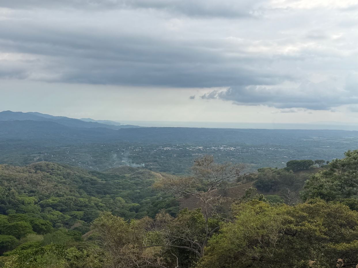 193 acres (781,527m2) Large farm with amazing views of the Pacific and forest