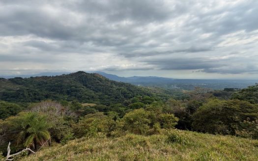 193 acres (781,527m2) Large farm with amazing views of the Pacific and forest