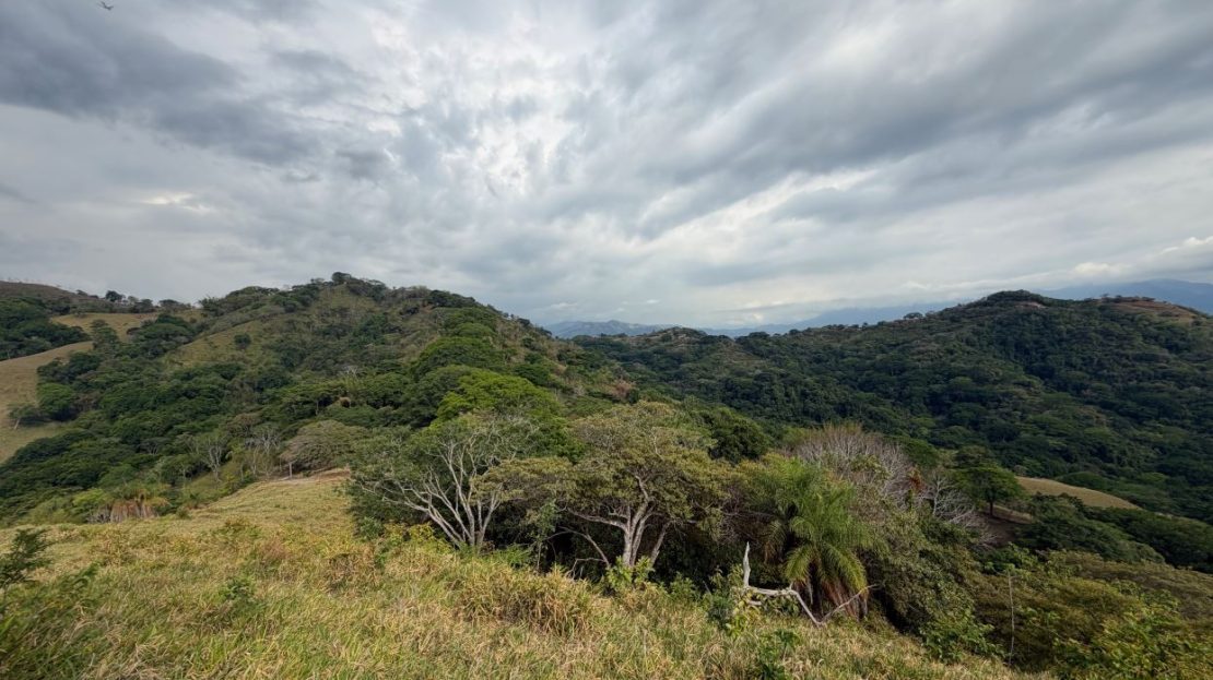193 acres (781