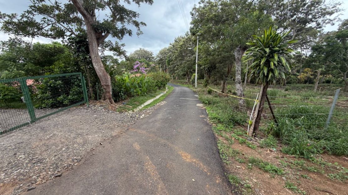 2 lots next to each other in a park like setting for sale in Atenas