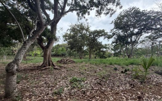 2 lots next to each other in a park like setting for sale in Atenas