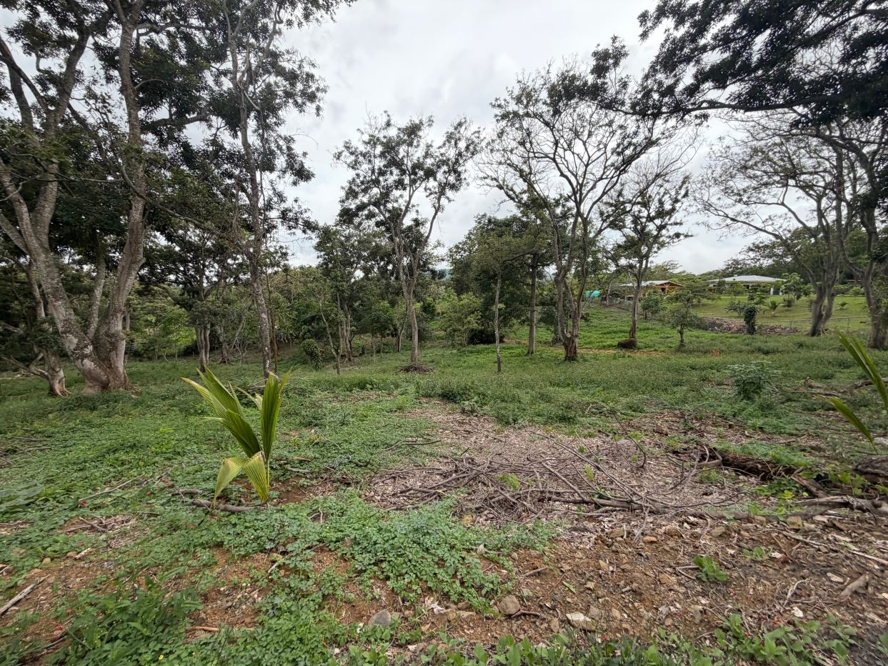 2 lots next to each other in a park like setting for sale in Atenas