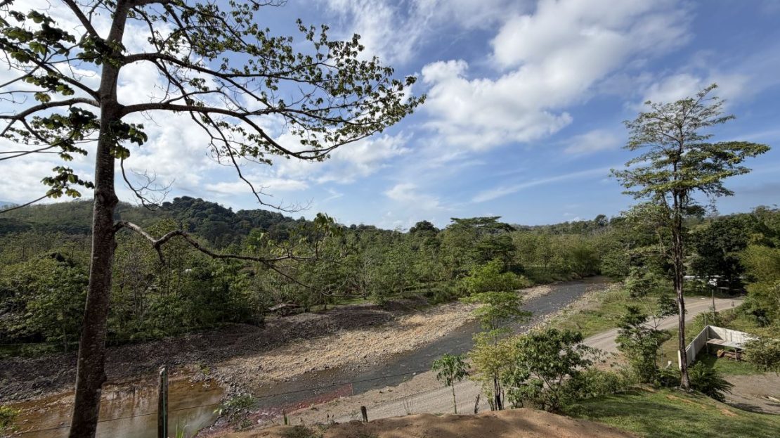 Parrita