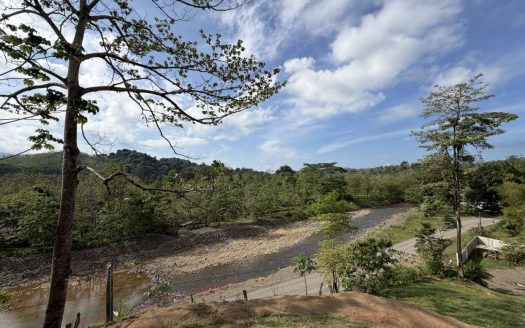 Parrita
