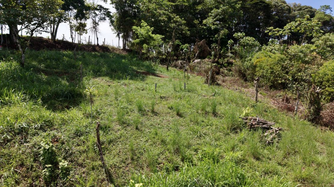 274 m² Lot for Sale in Tres Rios