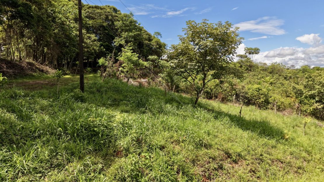Costa Rica Real Estate