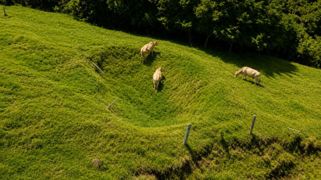 Cattle ranch near Lake Arenal